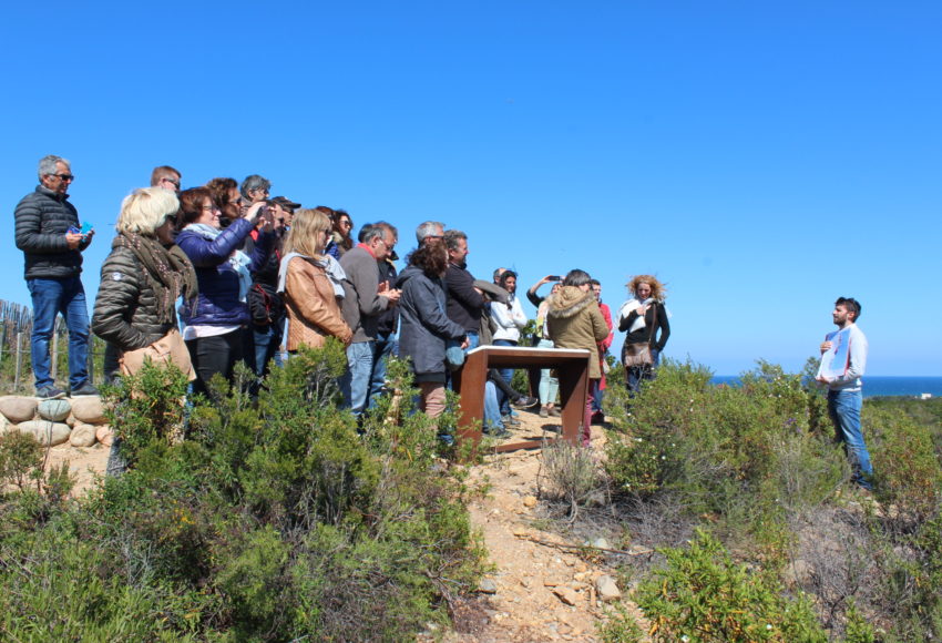 Tourisme écologique en Corse Orientale
