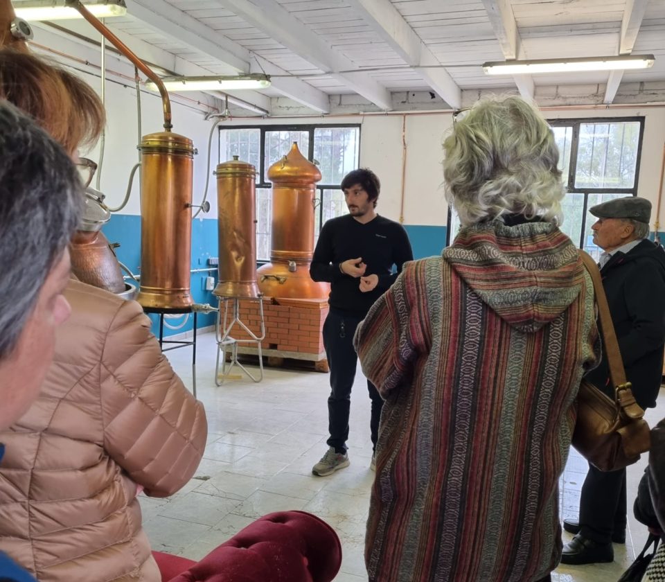 visite-distillerie-gin-et-rhum-corse