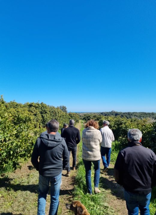 agrotourisme-corse