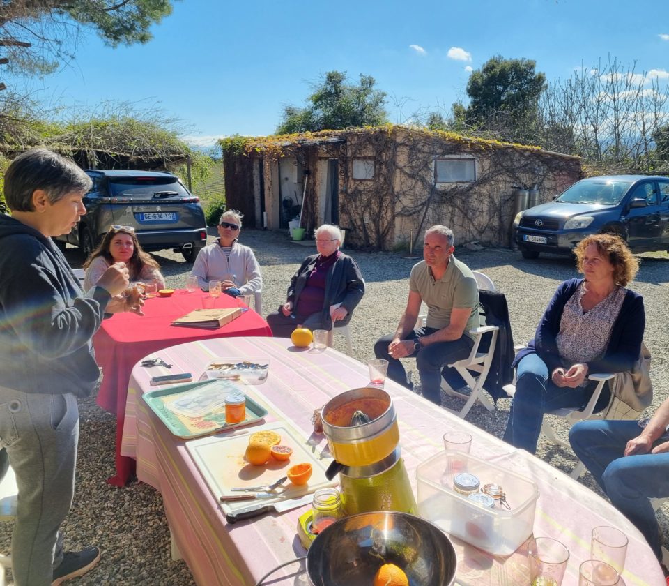 degustation-confitures-artisanales