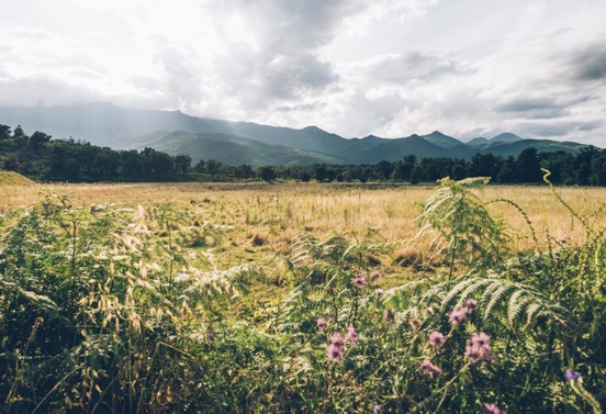 Les activités qui rythme la vie en Corse Orientale