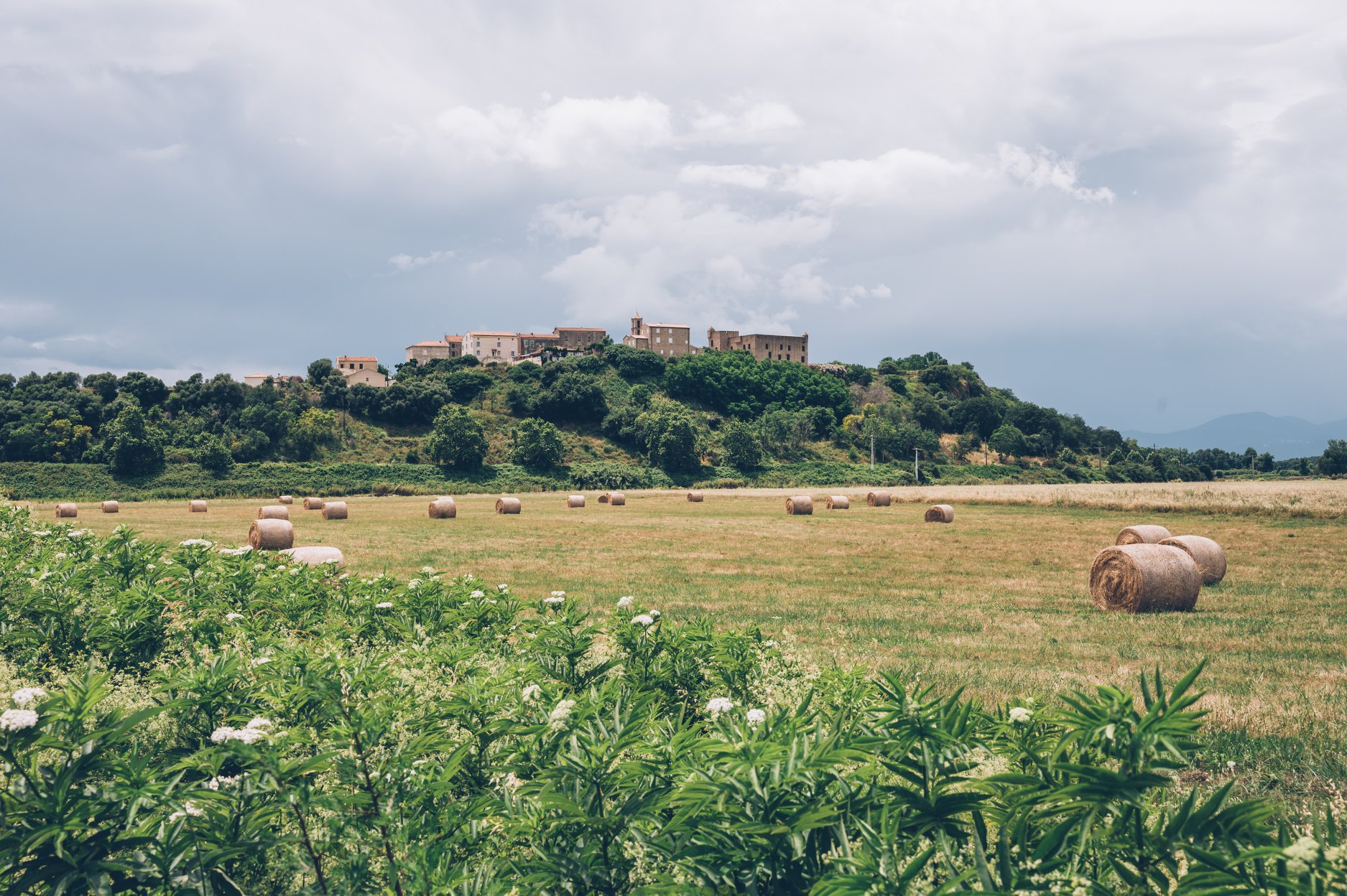 aleria site antique et musee en corse