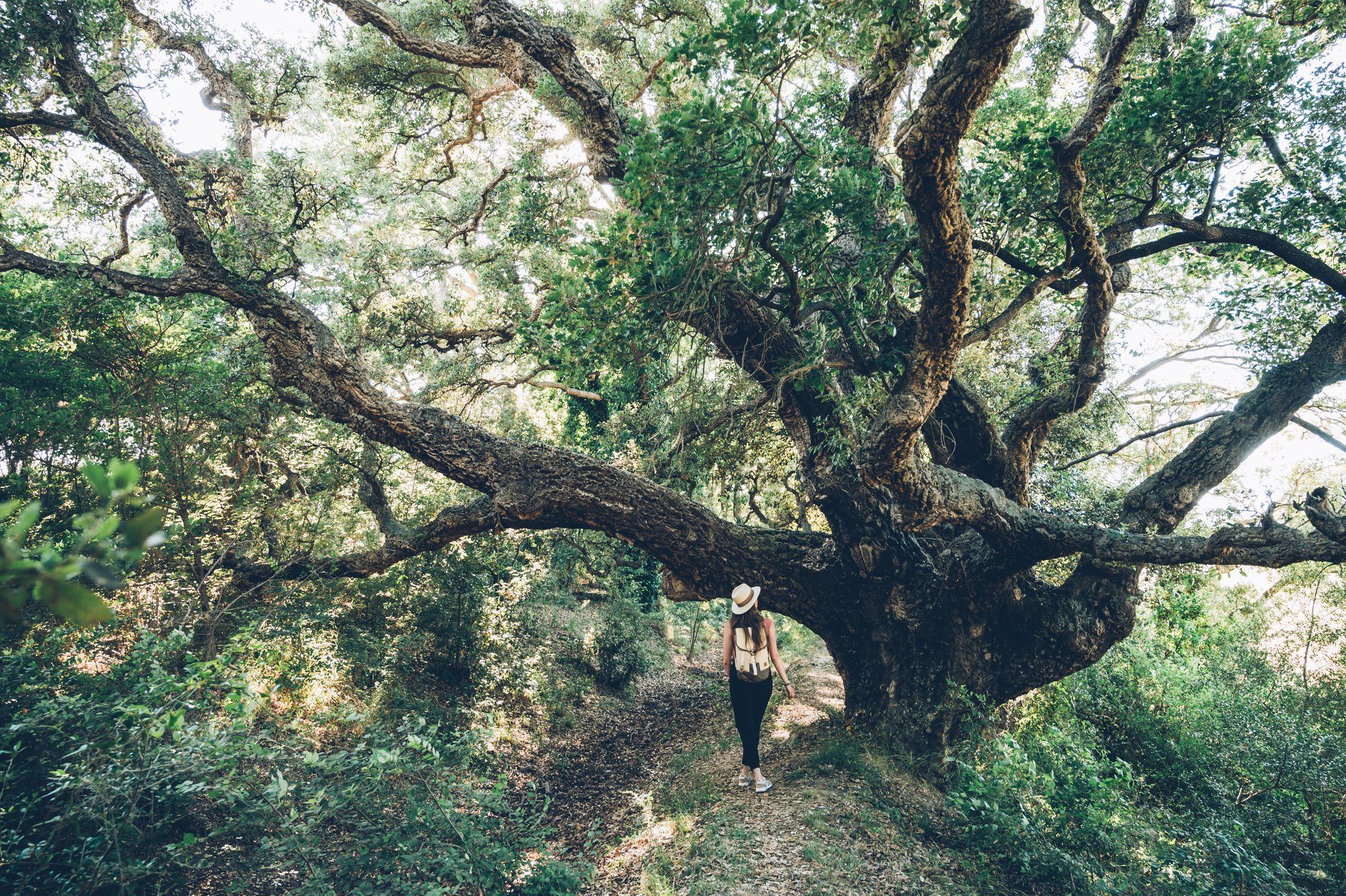 tourisme vert en corse orientale