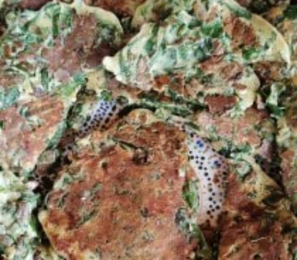 Galettes chénopode blanc, oseille, Nepita