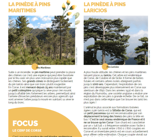 sensibilisation-environnement-corse