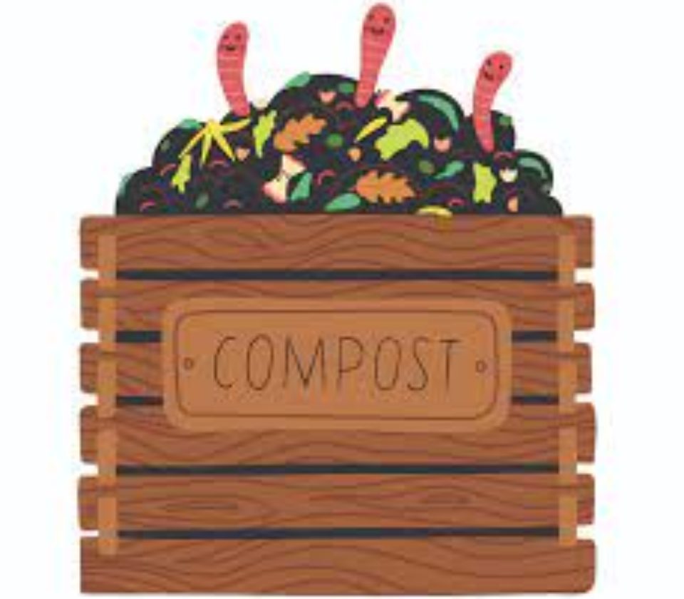 compost-graphique