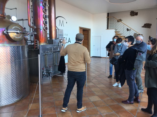 presentation distillerie mavela