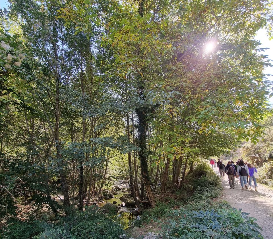 ecotourisme-sentier-nature-ghisoni