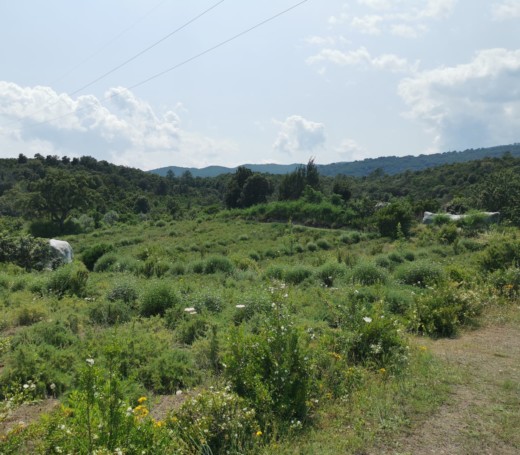 jardin-ferme-sorbelle