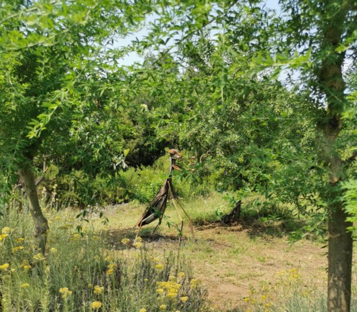 oeuvre-art-jardin