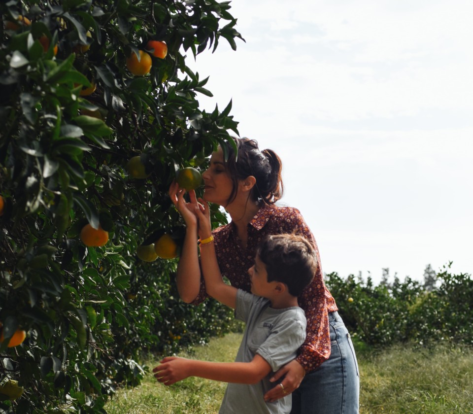 agrotourisme-corse-agrume