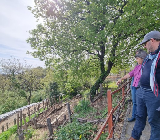 jardin-permaculture-terrasse