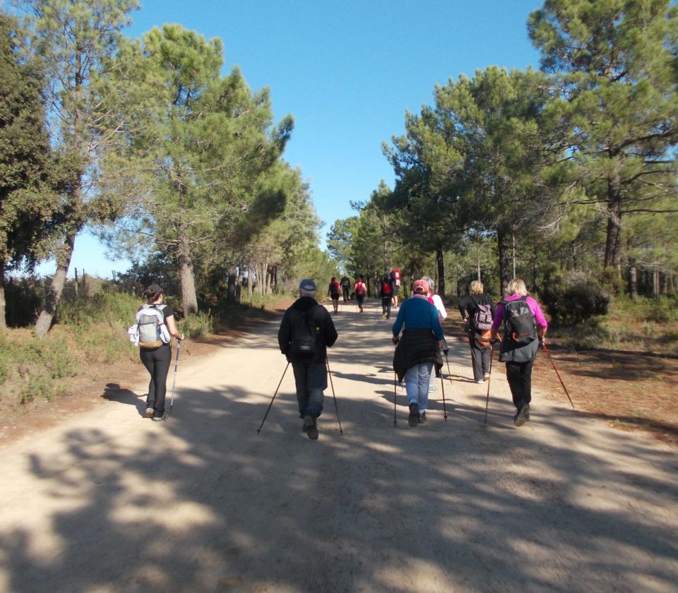 sentier-pinia-jpg