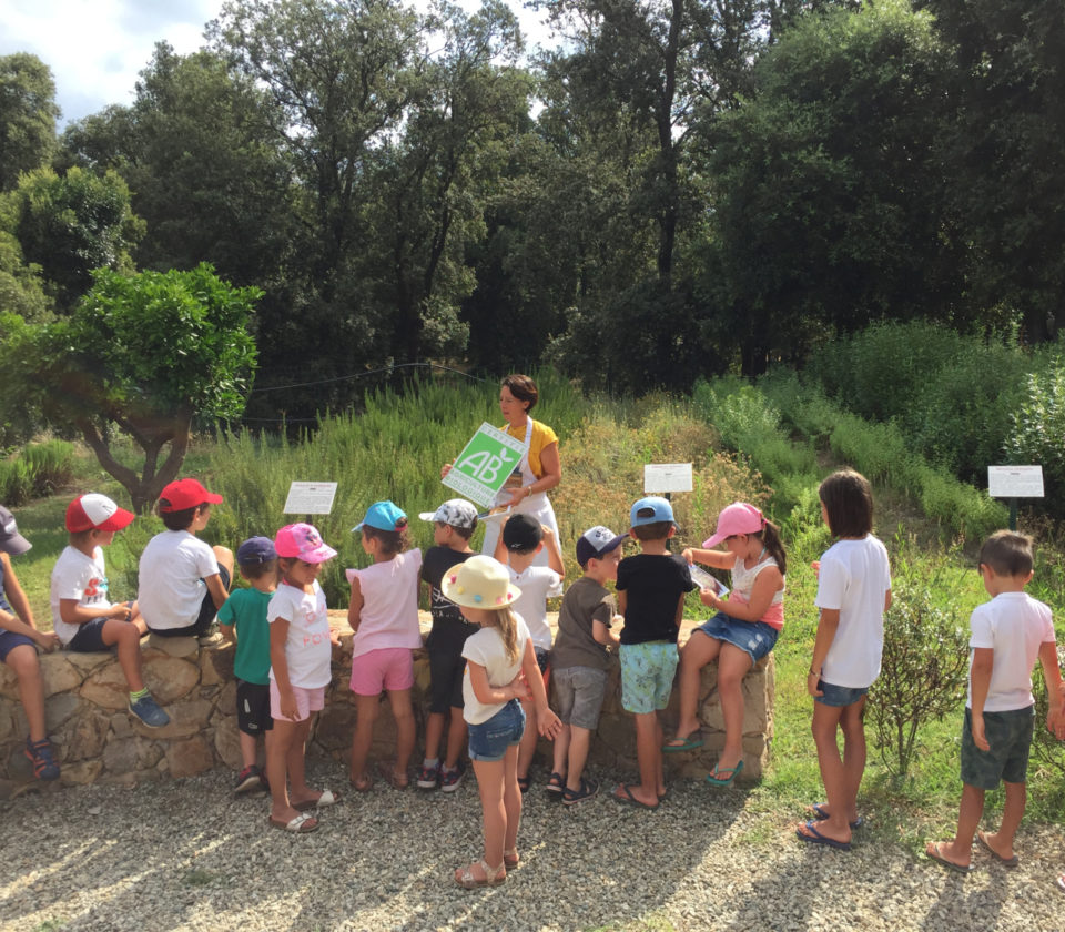 Atelier découverte de la saponification en Corse