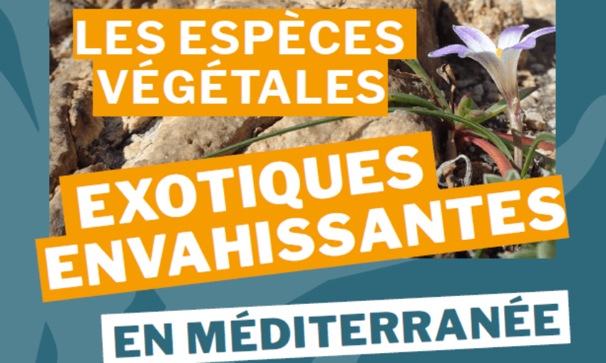 Les espèces végétales exotiques et envahissantes - INVMED