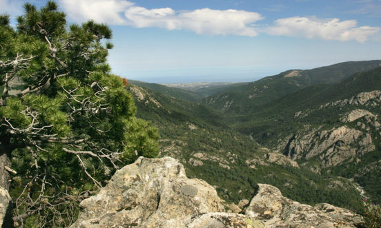Aventure Grandeur Nature