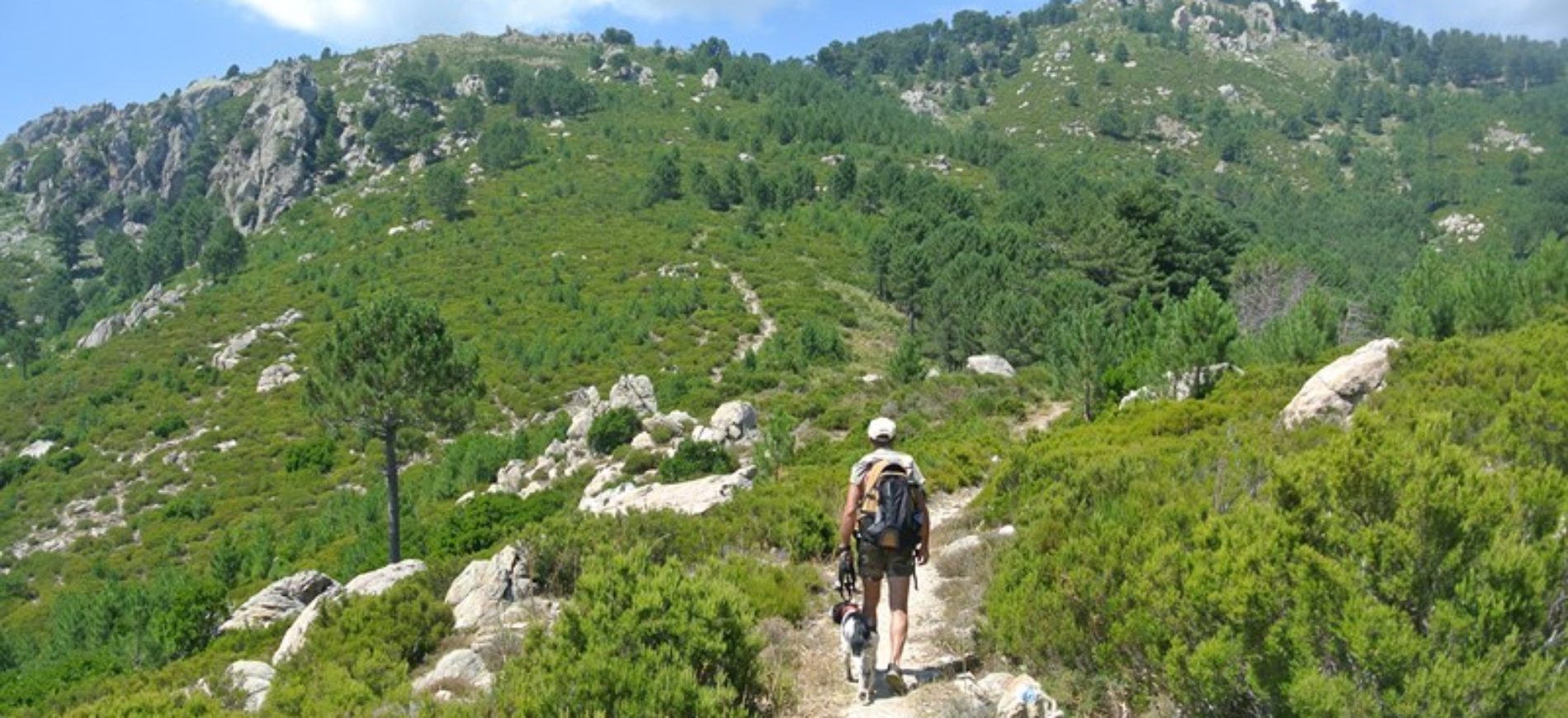 Randonnées alpines pour les plus téméraires !