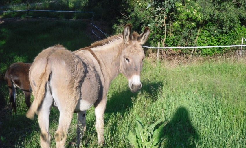Slowtourisme & agritourisme
