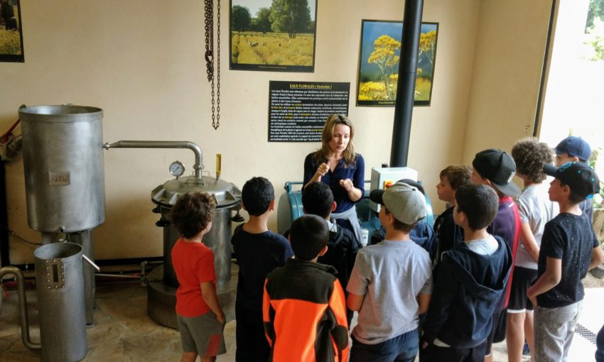 3.	S’initier aux techniques de la distillation