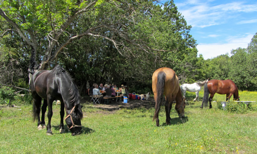 1.	Se balader à cheval et profiter des paysages 