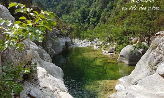 Acqua Linda