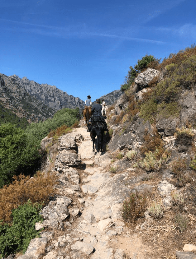 Randonnées équestres et traditions corses