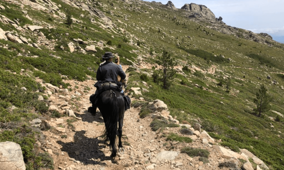 Randonnées équestres et traditions corses