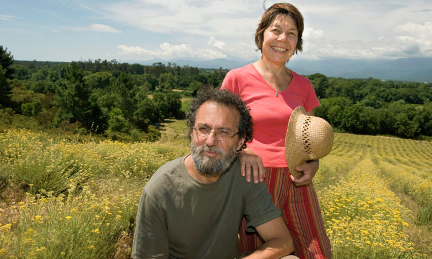 Les hôtes
