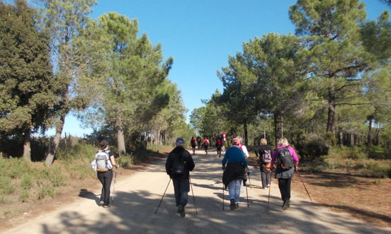 Labyrinthe en forêt : sur les chemins de l'étang de Urbinu