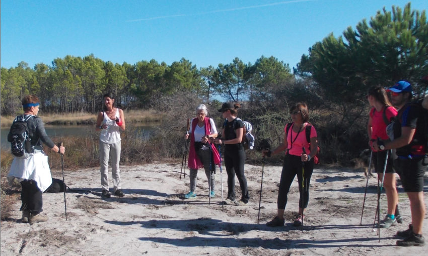 Les accompagnateurs