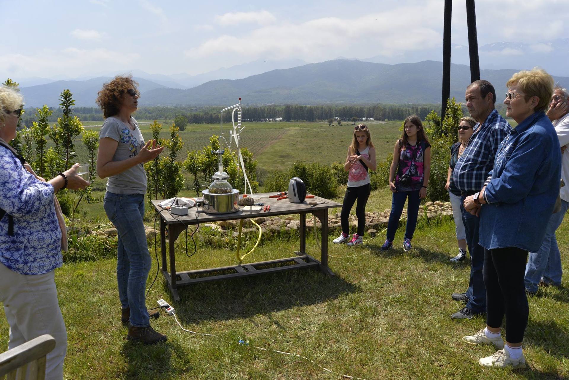 Plantes aromatiques et agriculture bio en corse