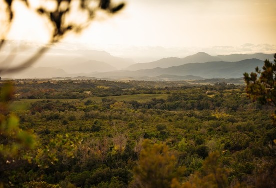 Un riche territoire au cœur de la Haute-Corse