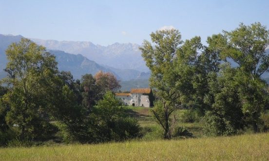 Domaine Marquiliani