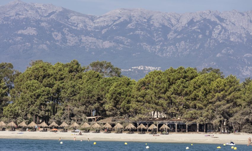 Perla di mare
