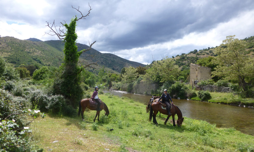 Randonnée Equestre