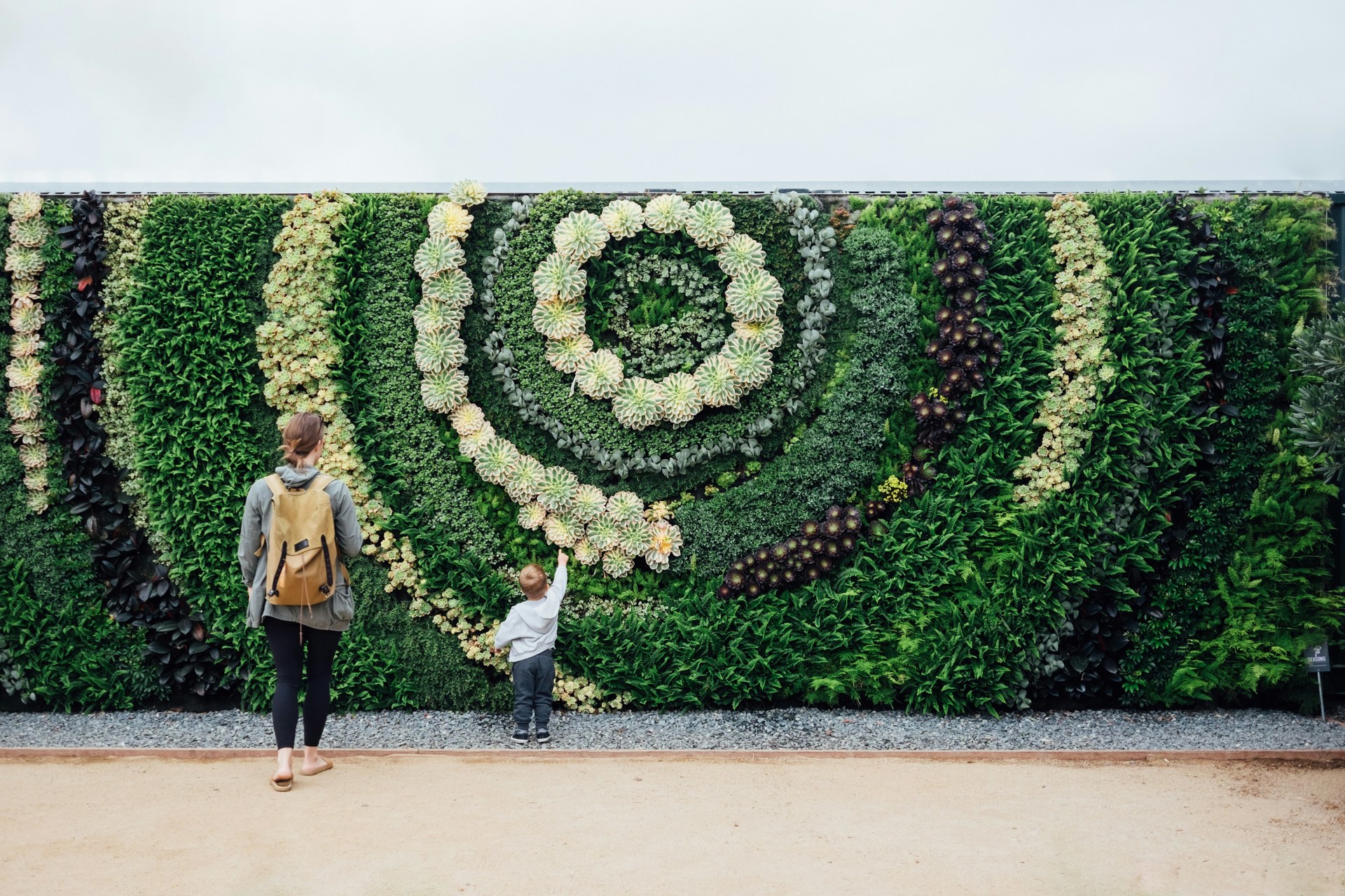 Végétaliser les murs de son hébergement 